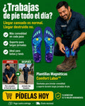 plantilla