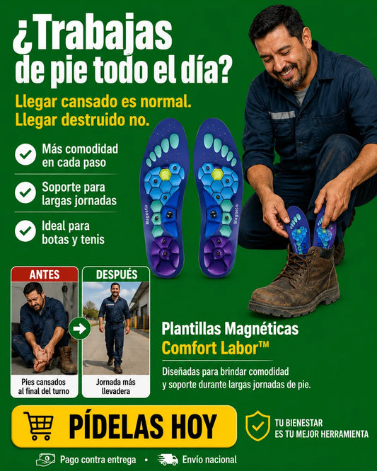 plantilla